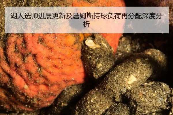 hu-ren-xuan-shuai-jin-zhan-geng-xin-ji-zhan-mu-si-chi-qiu-fu-he-zai-fen-pei-shen-du-fen-xi-2-162.jpg